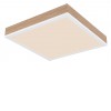 PATEST SQ 12W Stropní svítidlo, těleso kov bílá mat a dřevo světlé, difuzor plast opál, LED 12W, 800lm, teplá 3000K, 230V, IP20, tř.1, rozměry 300x300x60mm. náhled 1
