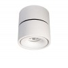 DHURI LED 1x13W 3000K 1140LM 230V IP20 Stropní svítidlo, nastavitelný směr svícení, těleso hliník, povrch bílá, LED 1x13W, teplá 3000K, 1140lm, 230V, IP20, rozměry d=100mm h=1030mm náhled 1