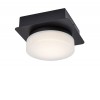 INULA 5W, IP44 Stropní přisazené svítidlo, těleso kov, povrch černá mat, difuzor plast opál, LED 5W, neutrální 4000K, 670lm, 230V, do koupelny IP44, tř.1, rozměry 110x130x70mm. náhled 1