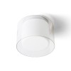 EISEN E27 Stropní přisazené svítidlo, základna kov, povrch chrom, difuzor sklo opál, stínítko sklo čiré, pro žárovku 1x20W, E27, 230V, do koupelny IP44, rozměry d=230mm, h=183mm. náhled 1