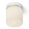BACI VÁLCOVÁ 230V do koupelny Stropní, přisazené svítidlo, základna kov, povrch chrom, difuzor sklo opál, LED 6W, teplá 3000K, 435lm/cca 24W žár, 230V, do koupelny IP44, tř.1, d=100mm, h=120mm náhled 1