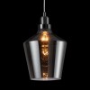 WINEGLASS 60W E27 Závěsné svítidlo, tvar sklenice, materiál kov, povrch hliník, kryt sklo čiré kouř, pro žárovku 1x60W, E27, 230V, IP20, tř.1, d=200mm, závěs l=1300mm, lze zkrátit. náhled 1