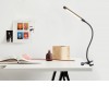 LOIR 5W CCT Stolní lampa s klipem, nastav směr svícení, husí krk, kov, černá, LED 5W, 500lm, přepín teplota CCT teplá 3000K, neutr 4000K, denní 6000K, stmívač, 230V, IP20, rozměry l=450mm. náhled 5