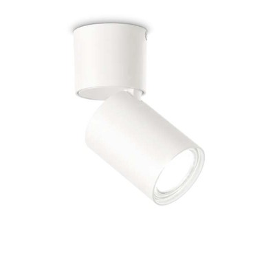 KRAVE 1x35W GU10 Stropní bodové svítidlo, nast. směr svícení, těleso hliník, povrch bílá, pro žárovku 1x35W, GU10, 230V, IP20, rozměry d=60mm, h=130mm.