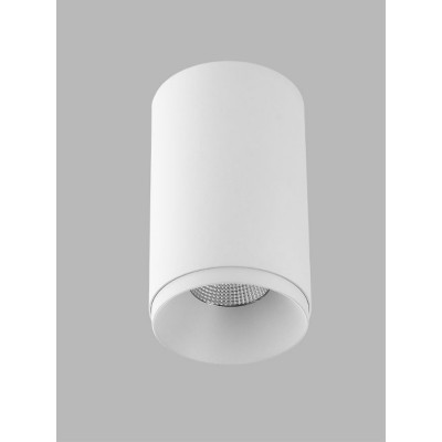 GOGA I 9W DALI TW CCT Stropní, bodové svítidlo, těleso kov, povrch bílá, LED 9W, 735lm, TW nast. CCT teplota teplá 3000K-neutrální 4000K, stmív. DALI, vyzař. úhel 60°, UGR<19, Ra90, 230V, IP20, rozměry d=85mm, h=143mm.