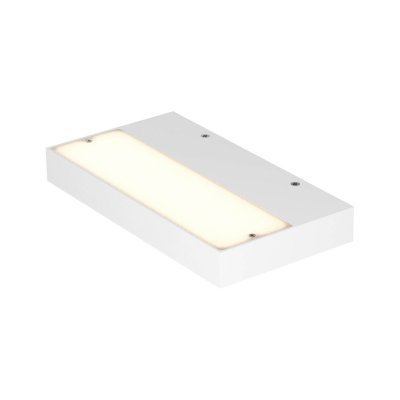 ALTENAS WL 24W Nástěnné svítidlo, těleso hliník, povrch bílá, difuzor plast opál, LED 24W, 1737lm,  teplá 3000K, 230V, IP20, tř.1, rozměry 240x32x130mm, svítí nahoru nebo dolů