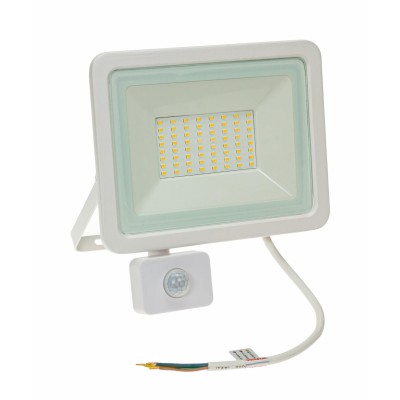 FRATER 50W, IP44, PIR LED reflektor se senzorem pohybu PIR, dosah 2-10m, čas 10s-7min, nastav. směr svícení, hliník, povrch bílá, krycí sklo čiré, LED 50W, 4000lm, denní 6000K, Ra80, 230V, IP44,  tř.1, 212x206x35mm.