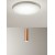 BEXBACH Stropní přisazené svítidlo, těleso kov, povrch zlatá, difuzor plast opál, LED 36W, 3283lm, teplá 3000K, stmívatelné, 230V, IP20, rozměry d=550mm, vč závěs lanka h=900mm, lze zkrátit.